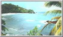 Photo of a beach on the North Coast of Trinidad